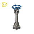 Best Selling Liquid Oxygen Nitrogen Stainless Steel  Cryogenic Gate Valve